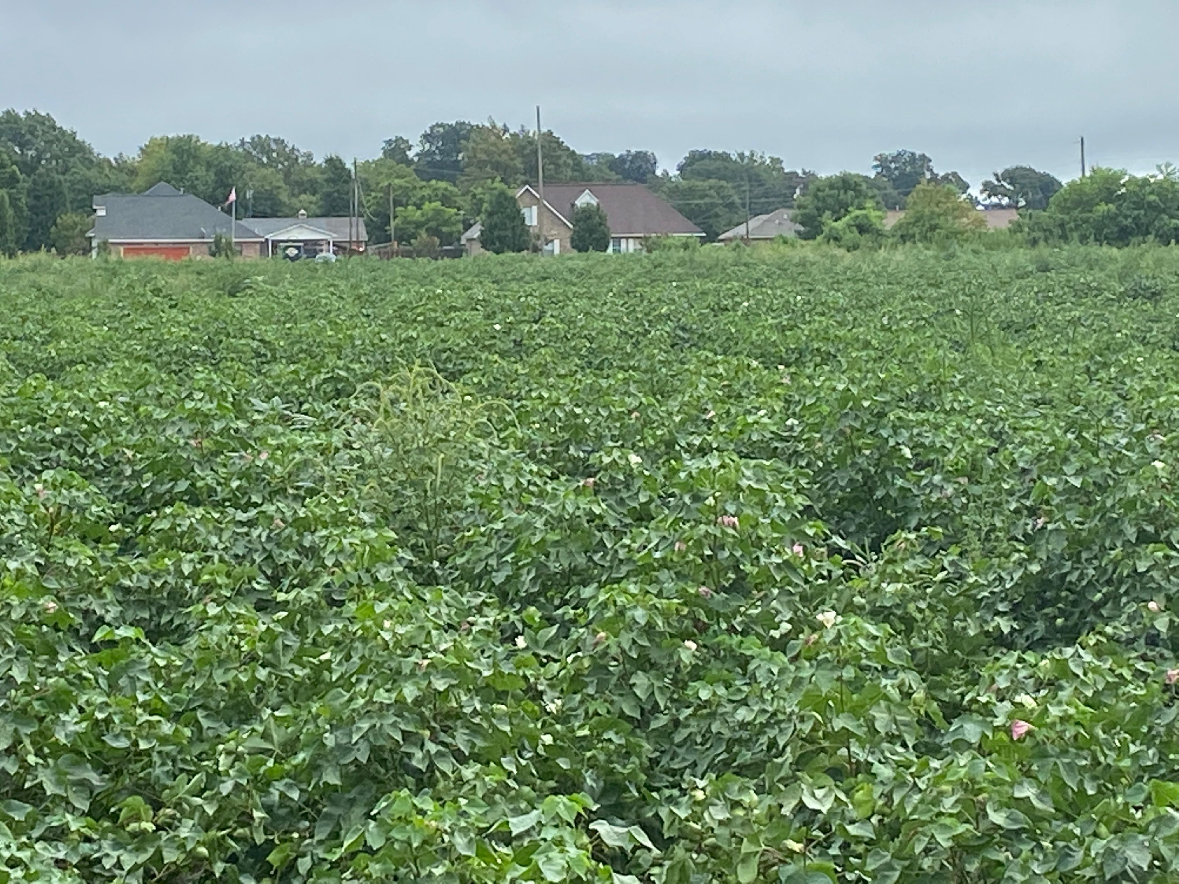 Rolling Fork, Sharkey County, MS Farms and Ranches, Recreational