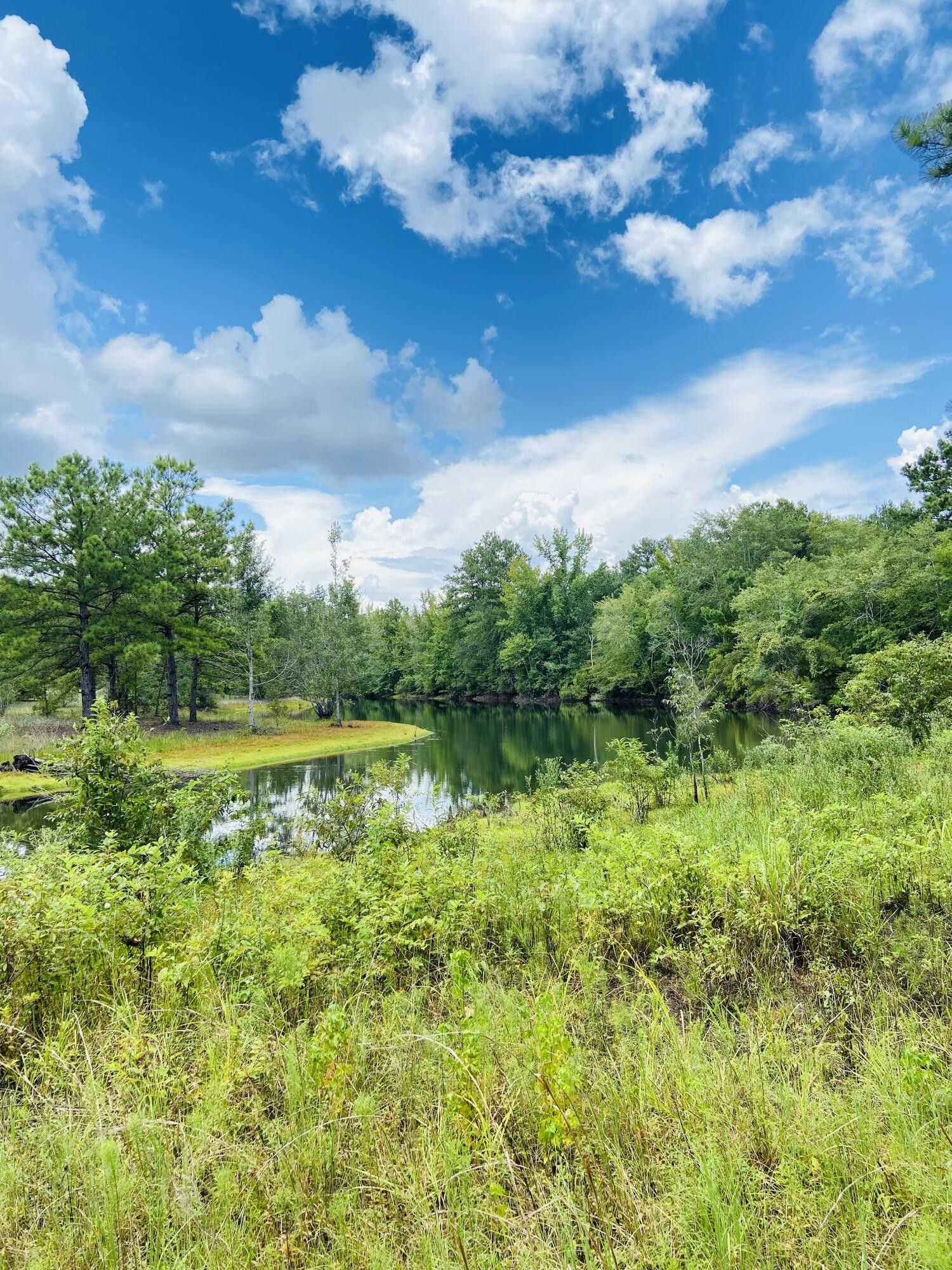 Foxworth, Marion County, MS Undeveloped Land for sale Property ID
