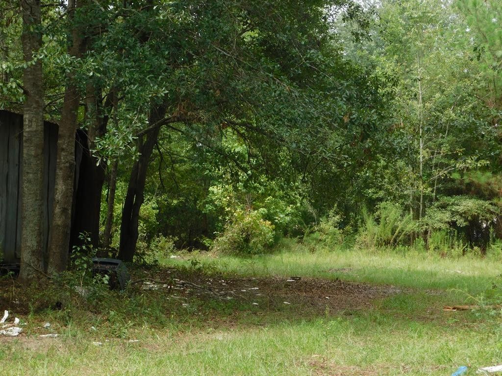 Reidsville, Tattnall County, GA Undeveloped Land, Homesites for sale Property ID 414634730