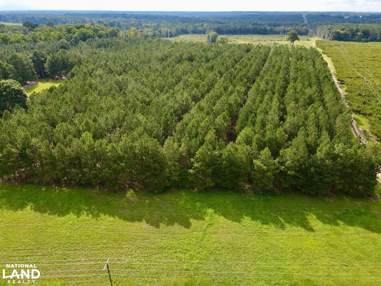 Trenton, Edgefield County, SC Recreational Property, Timberland Property, Hunting Property for