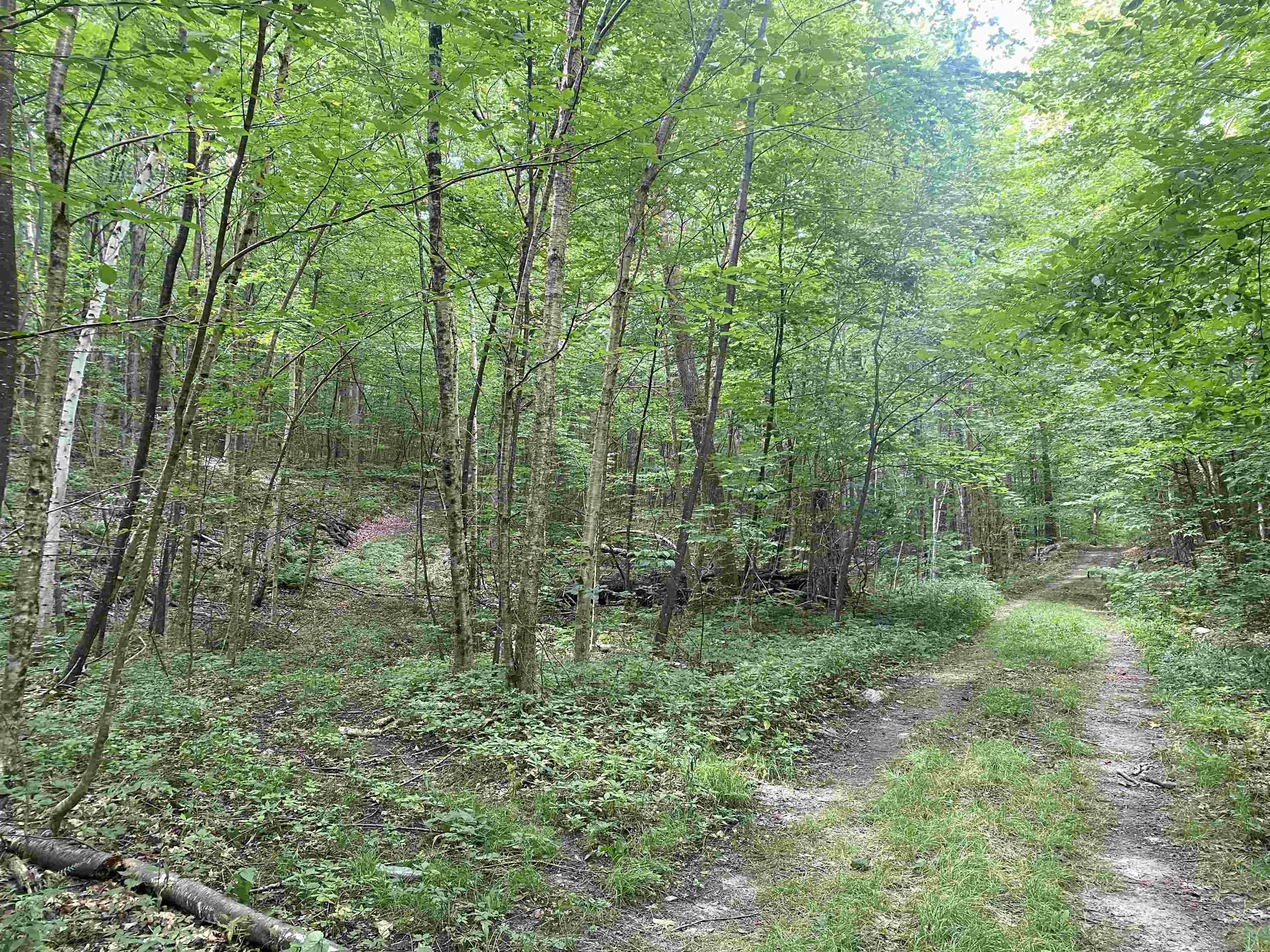 Dorset, Bennington County, VT Undeveloped Land, Homesites for sale