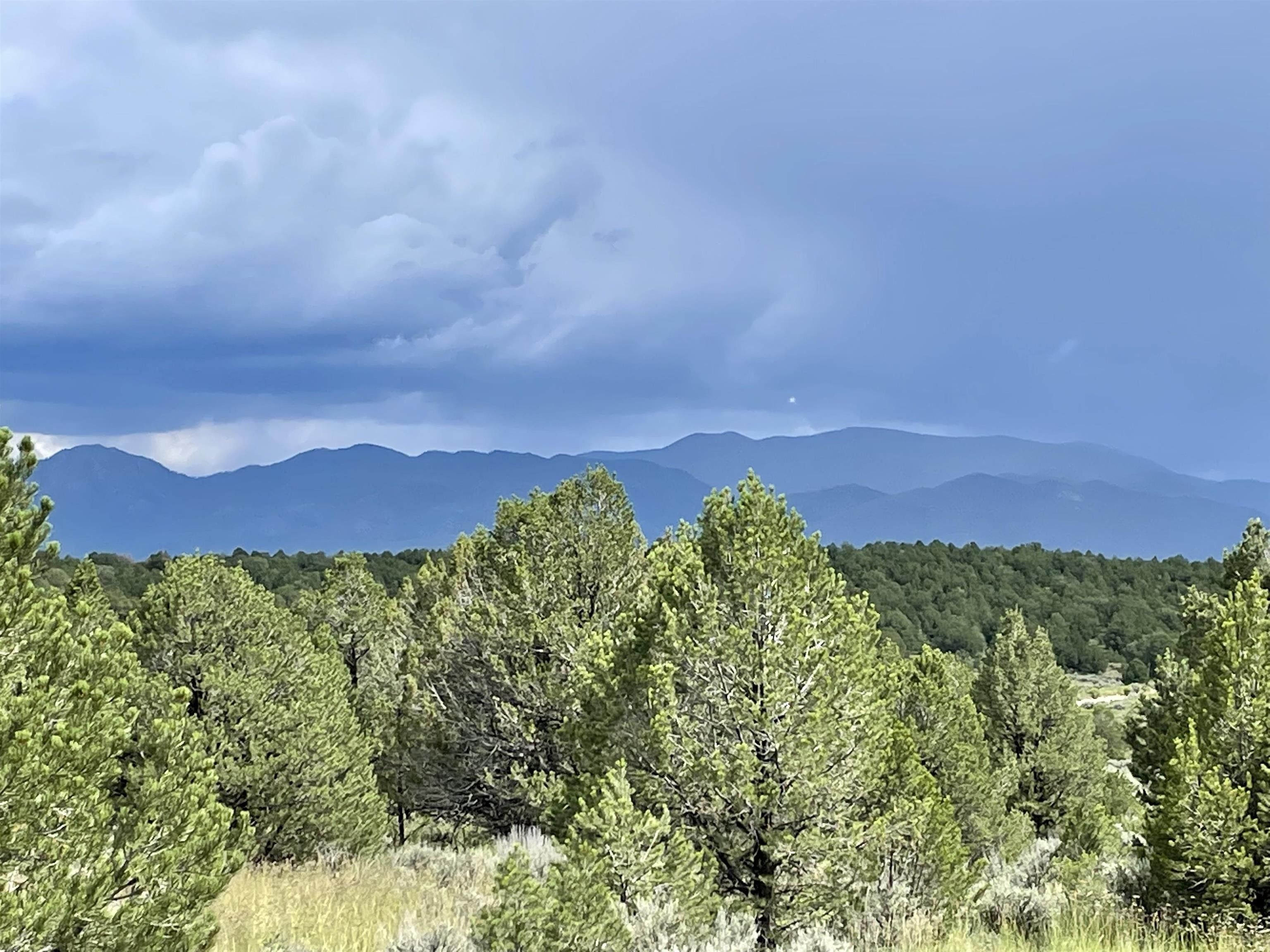 Carson, Taos County, NM Undeveloped Land for sale Property ID