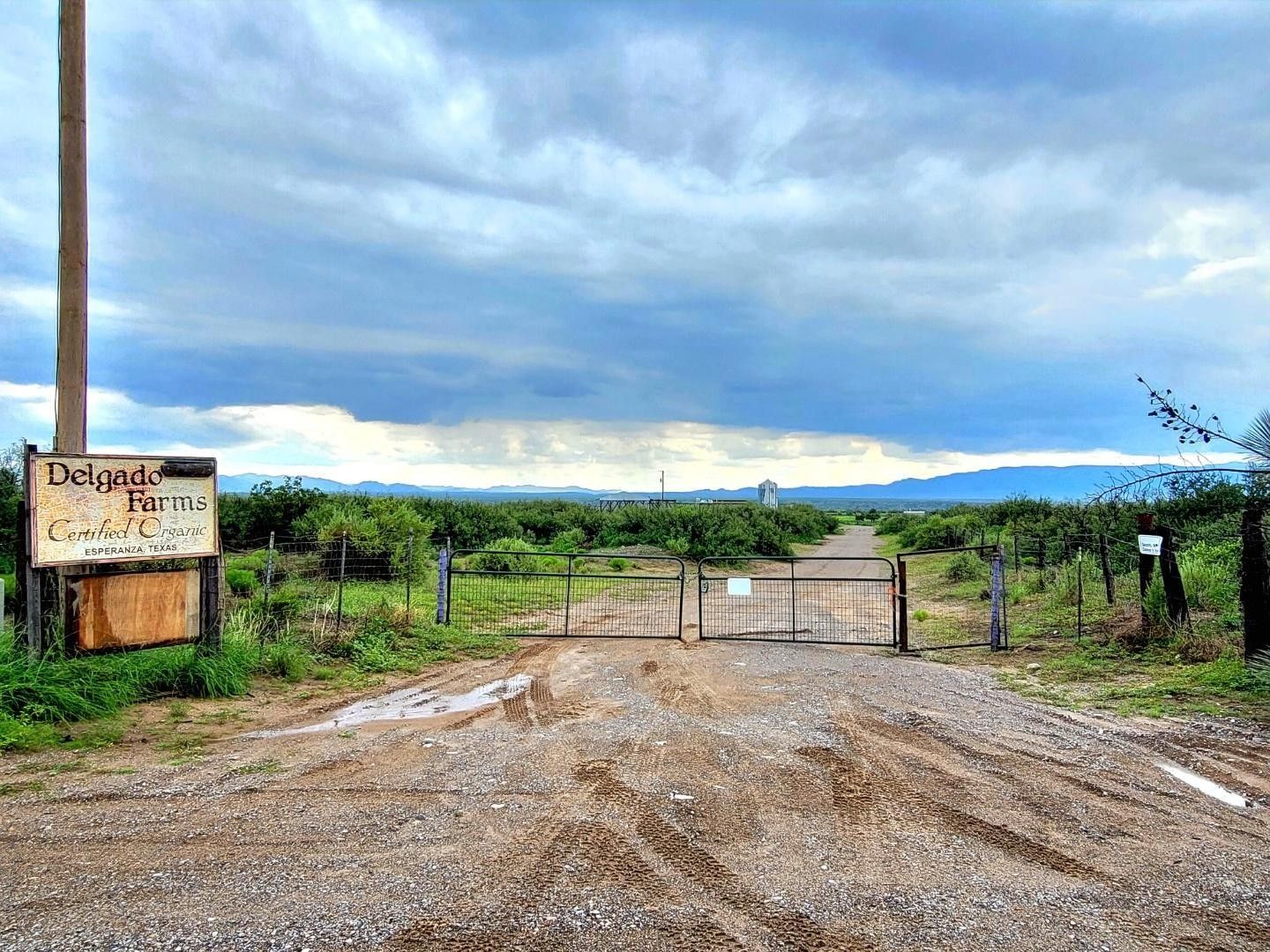 Fort Hancock, Hudspeth County, TX Commercial Property, House for sale