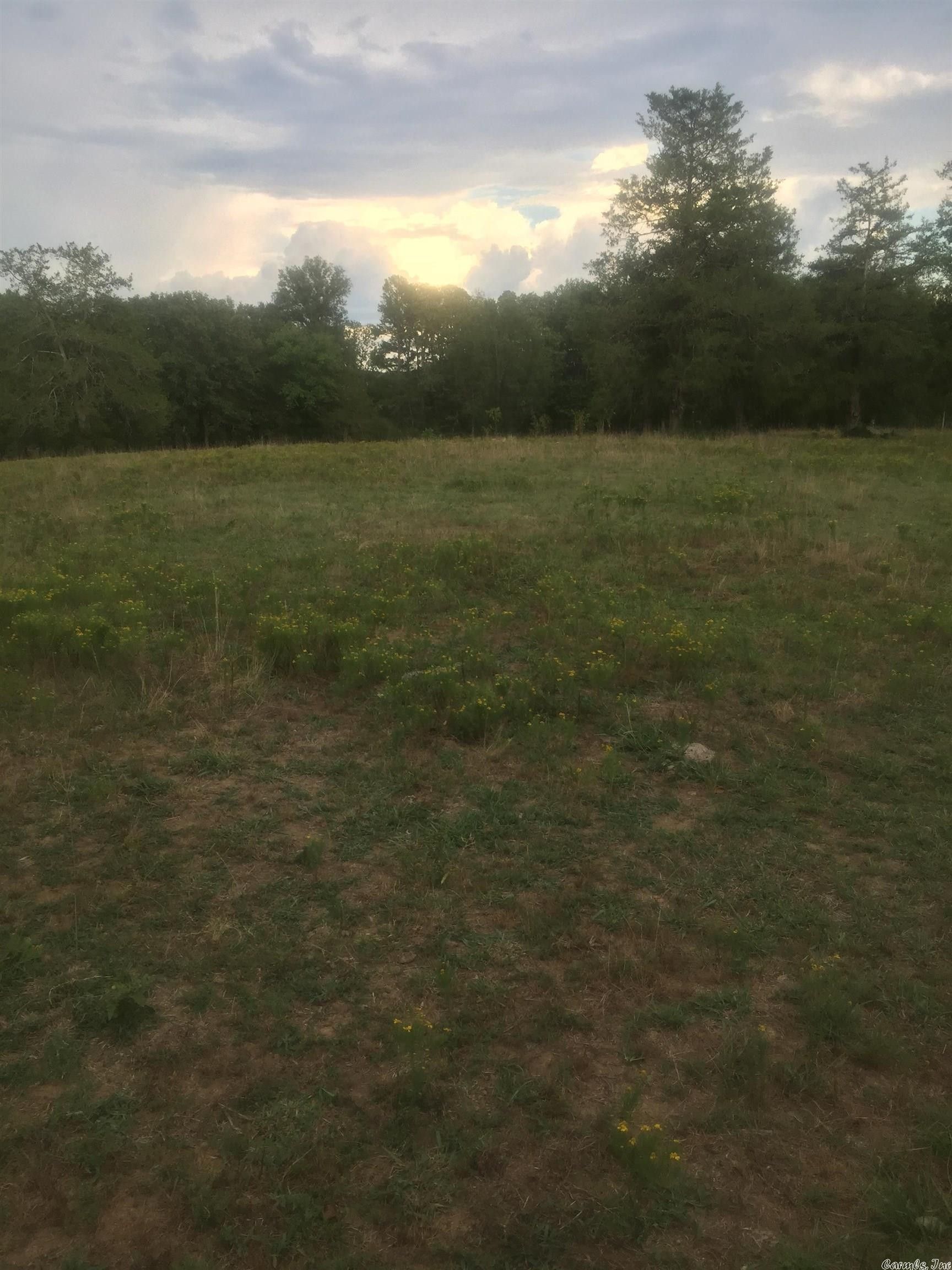 Pencil Bluff, Montgomery County, AR Undeveloped Land for sale Property