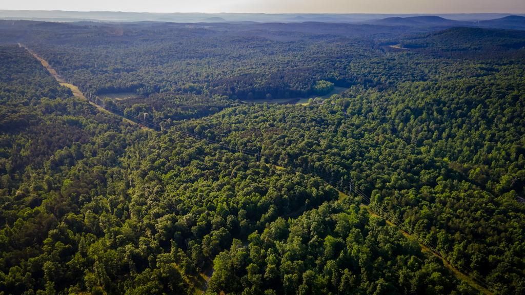 Denton, Davidson County, NC Recreational Property, Undeveloped Land
