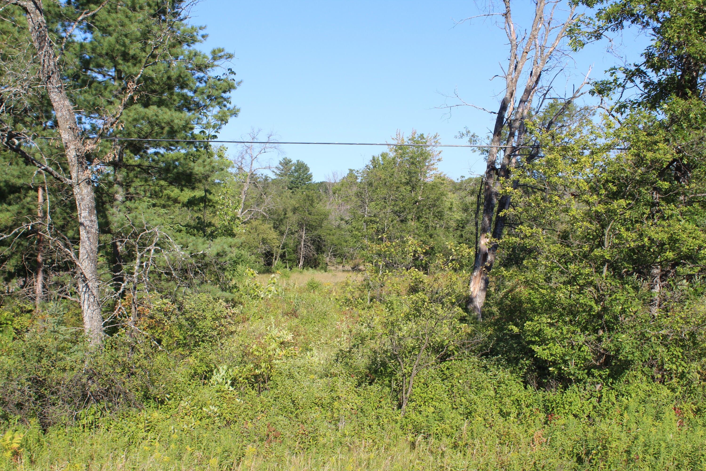 Atlanta, Montmorency County, MI Undeveloped Land for sale Property ID