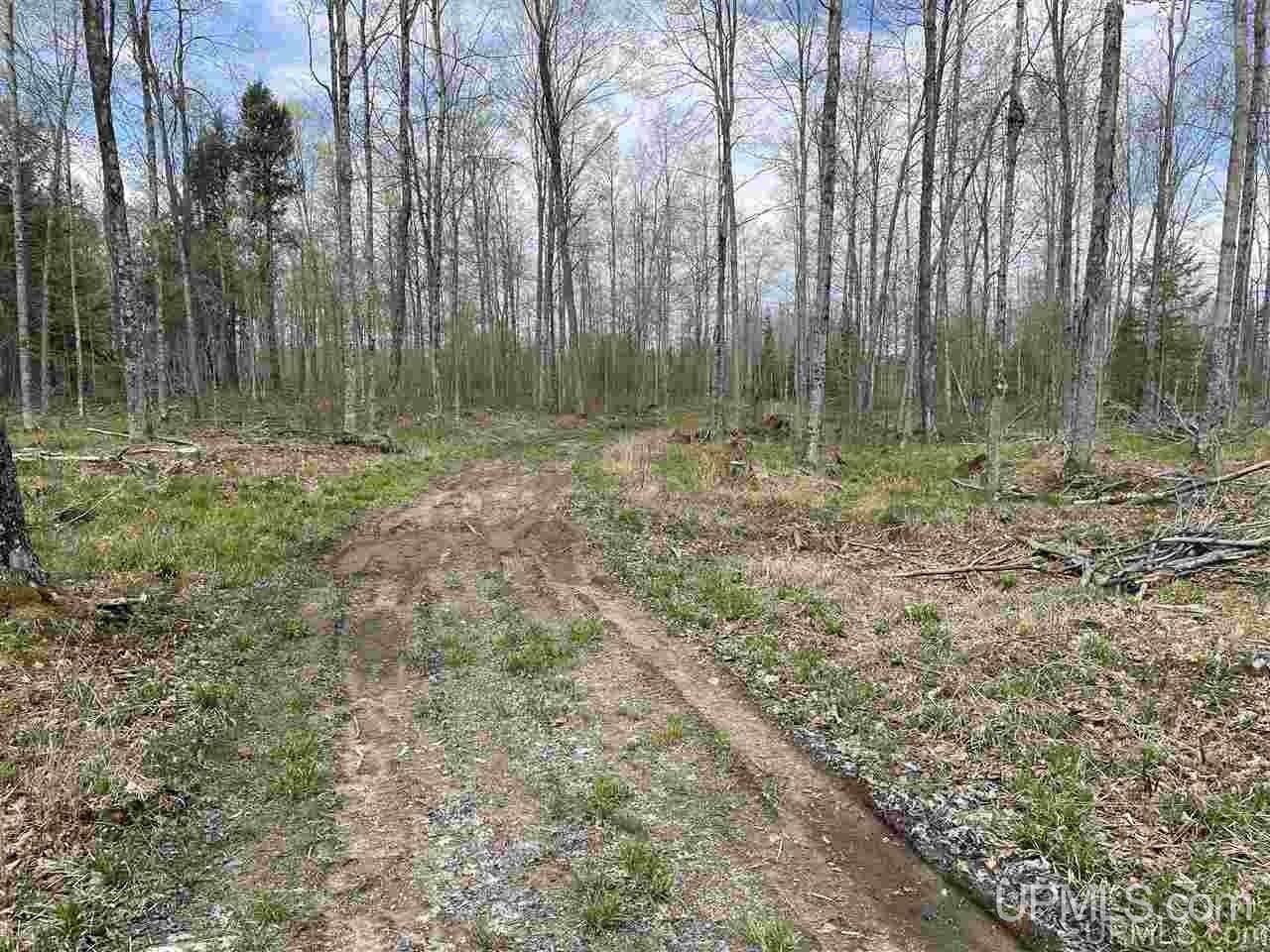 Cornell, Delta County, MI Undeveloped Land for sale Property ID