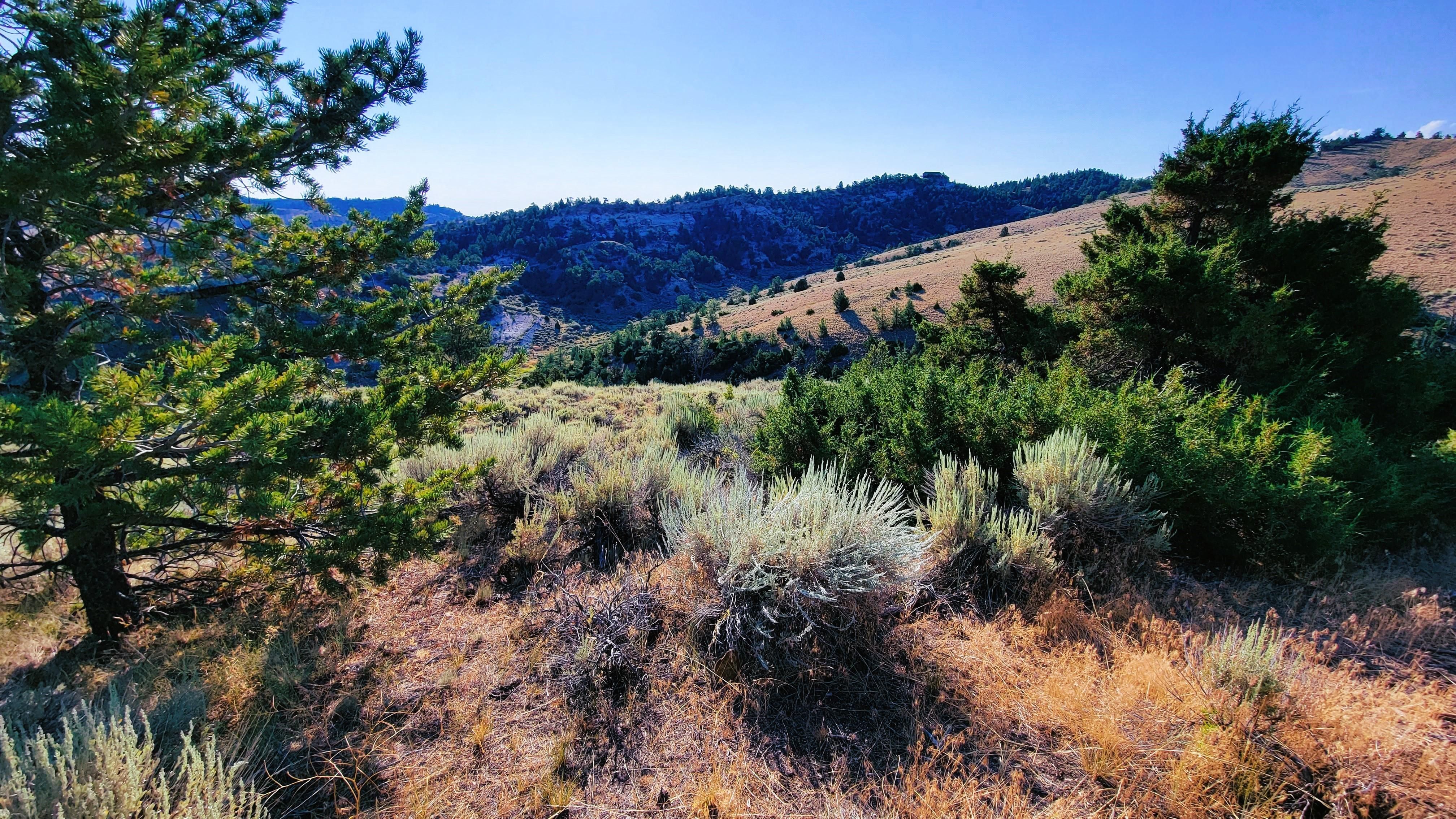 Meeteetse, Park County, WY Recreational Property, Hunting Property