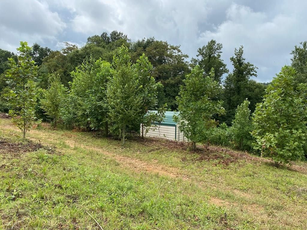 Fancy Gap, Carroll County, VA Undeveloped Land, Lakefront Property