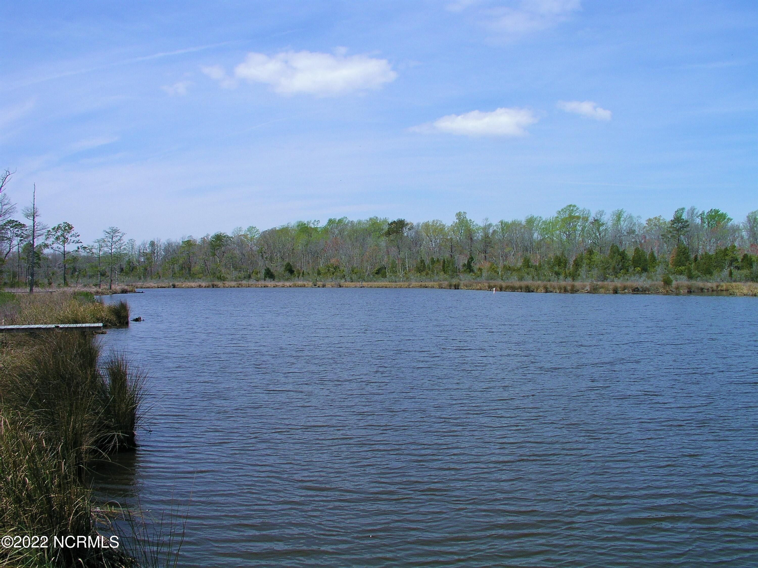Bath, Beaufort County, NC Farms and Ranches, Lakefront Property