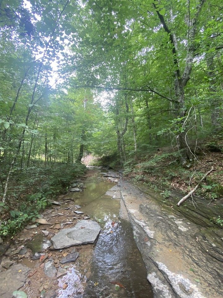 Edmonton, Metcalfe County, KY Undeveloped Land for sale Property ID