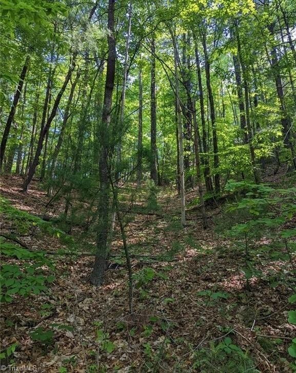 Piney Creek, Alleghany County, NC Undeveloped Land, Homesites for sale