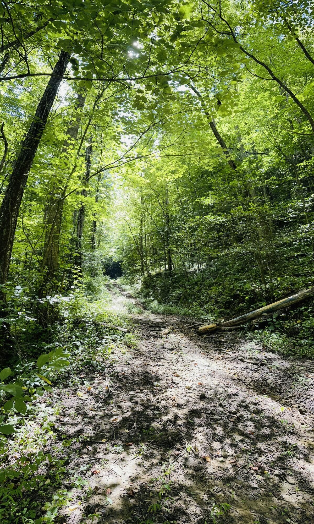 Grundy, Buchanan County, VA Undeveloped Land for sale Property ID