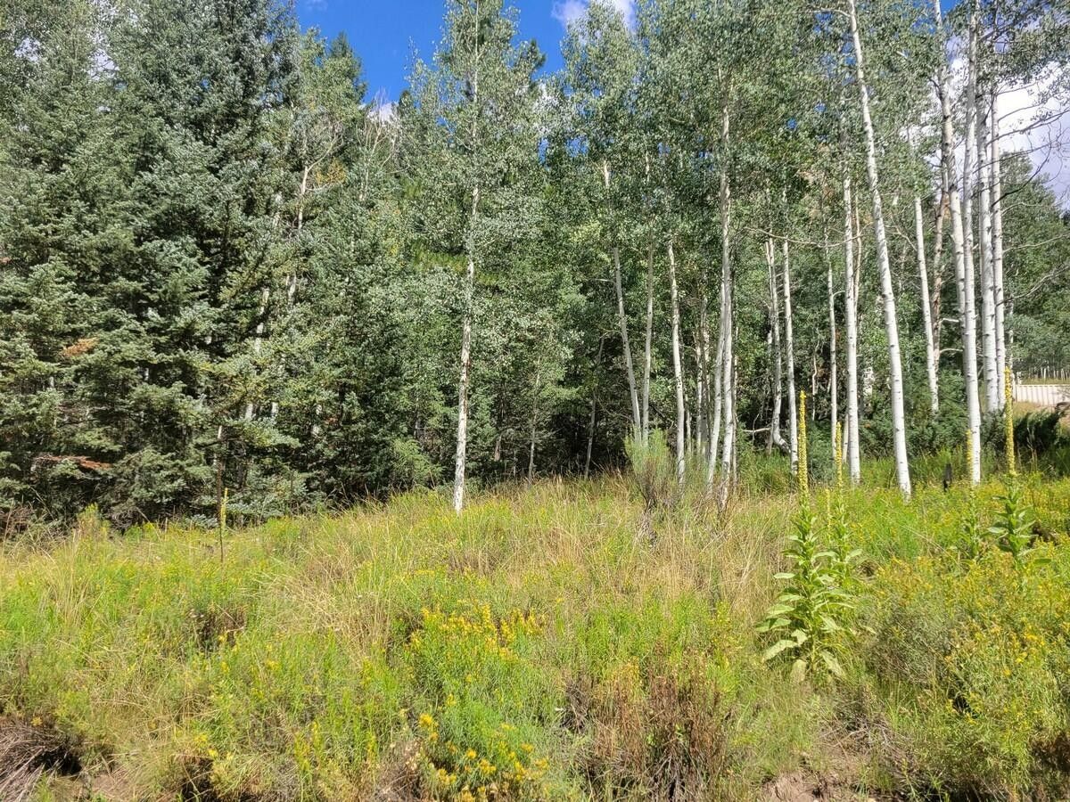 Duck Creek Village, Kane County, UT Undeveloped Land, Homesites for