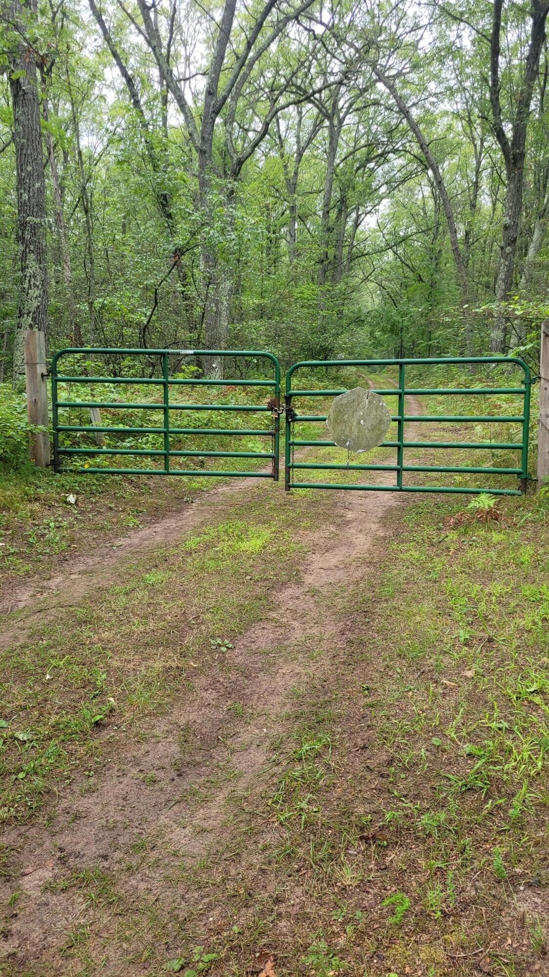 Brohman, Newaygo County, MI Undeveloped Land for sale Property ID