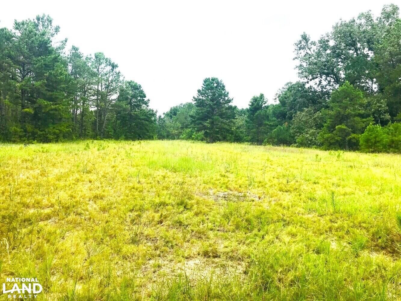 Buena Vista, Marion County, GA Farms and Ranches, Recreational Property