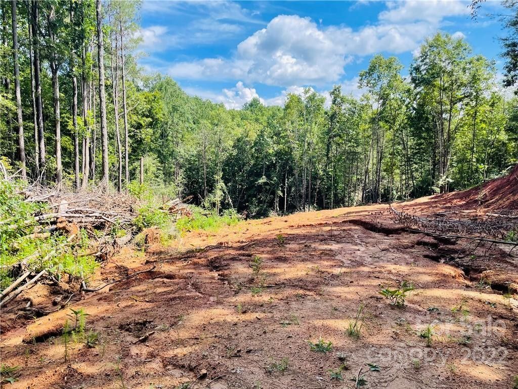 Stony Point, Iredell County, NC Undeveloped Land, Lakefront Property