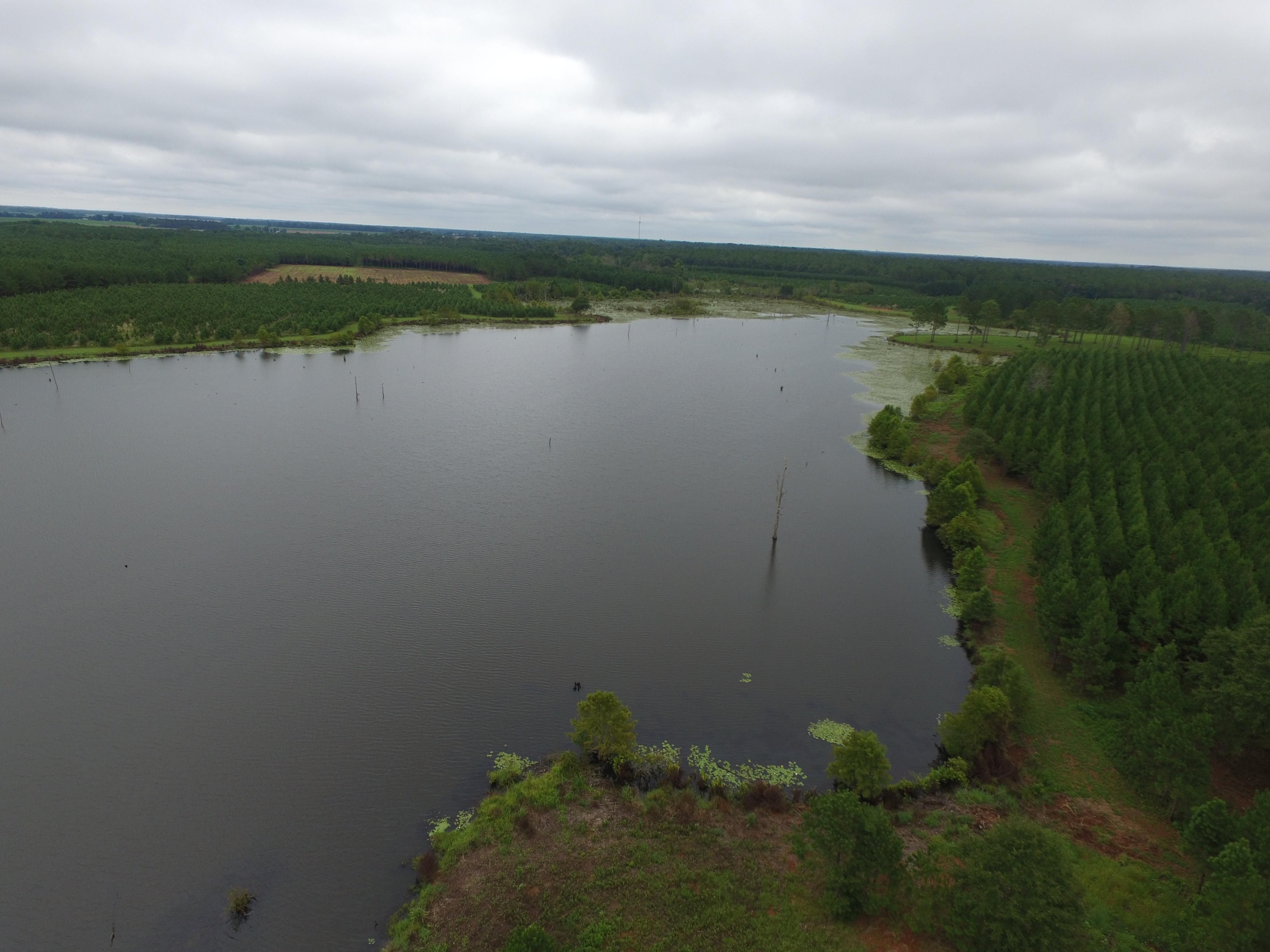 Dawson, Terrell County, GA Recreational Property, Timberland Property