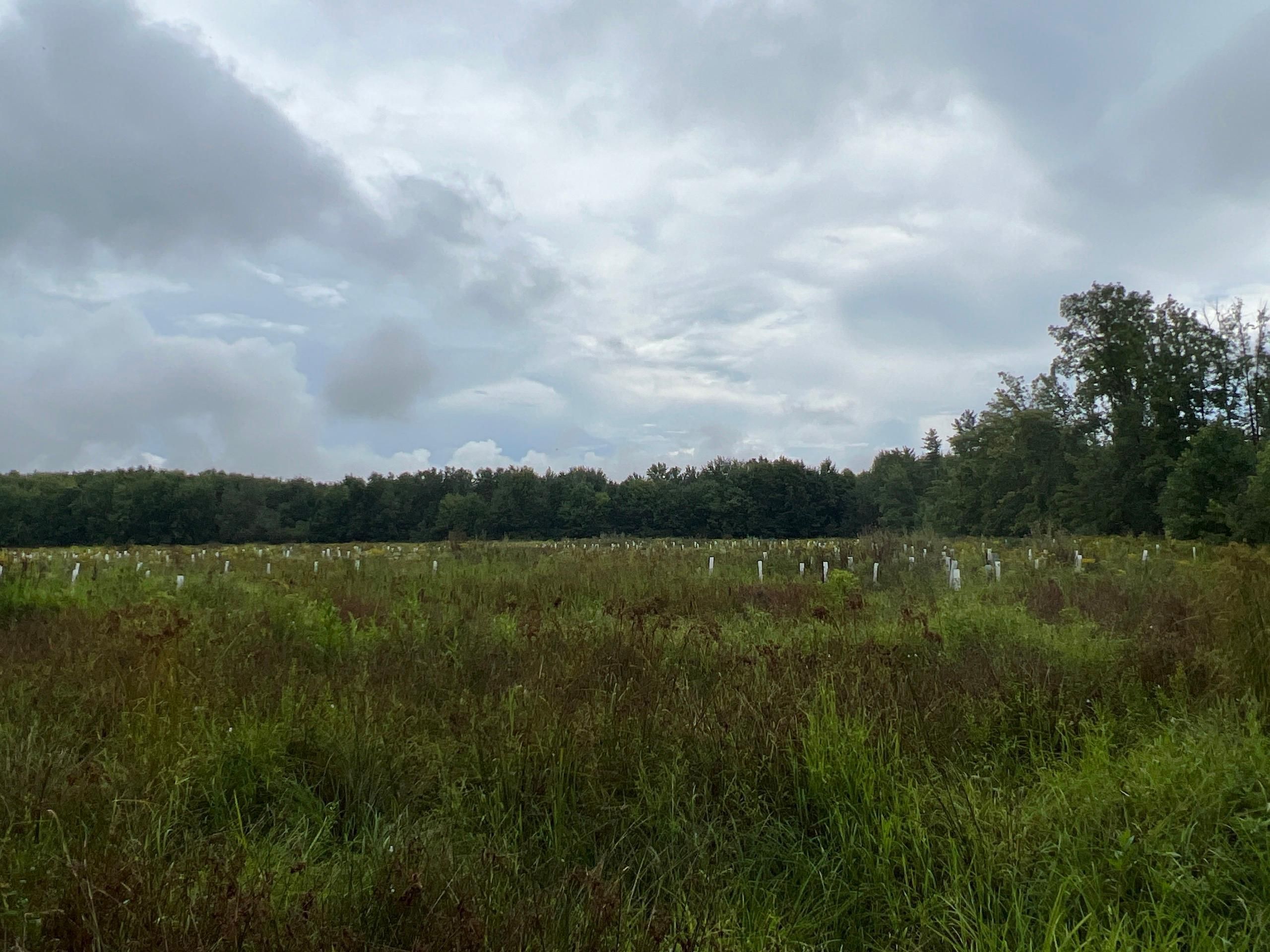 Dorset, Ashtabula County, OH Recreational Property, Timberland Property