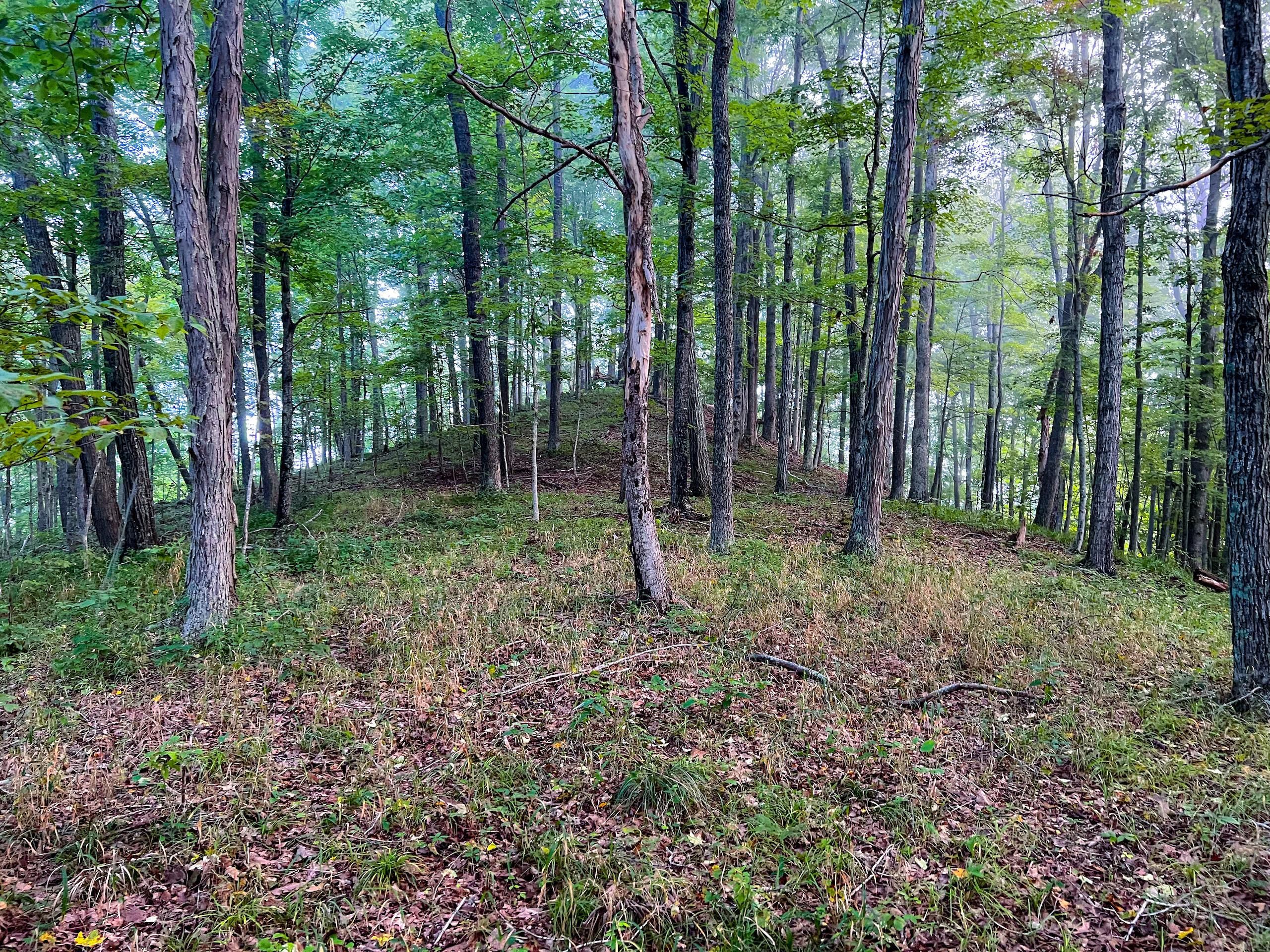 Arnoldsburg, Calhoun County, WV Recreational Property, Timberland Property, Hunting Property for