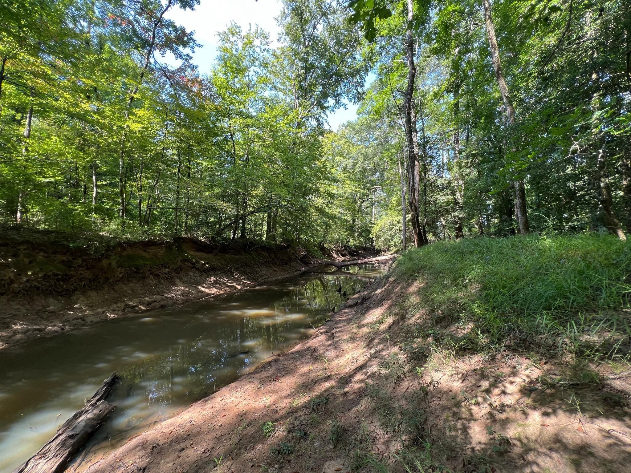 Cotton Valley, Bienville Parish, LA Recreational Property, Timberland