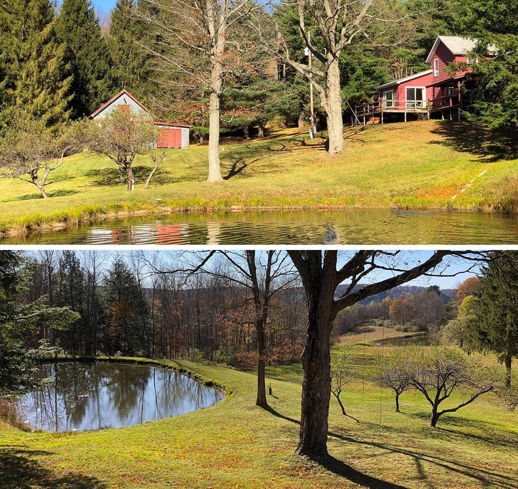 Sabinsville, Potter County, PA House for sale Property ID 413430250