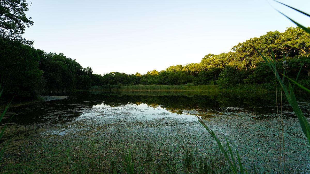 Marseilles, LaSalle County, IL Recreational Property, Undeveloped Land