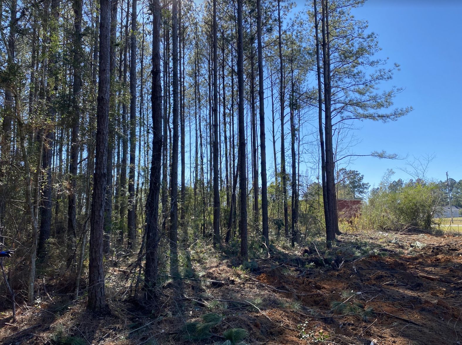 Wilmer, Mobile County, AL Recreational Property, Undeveloped Land