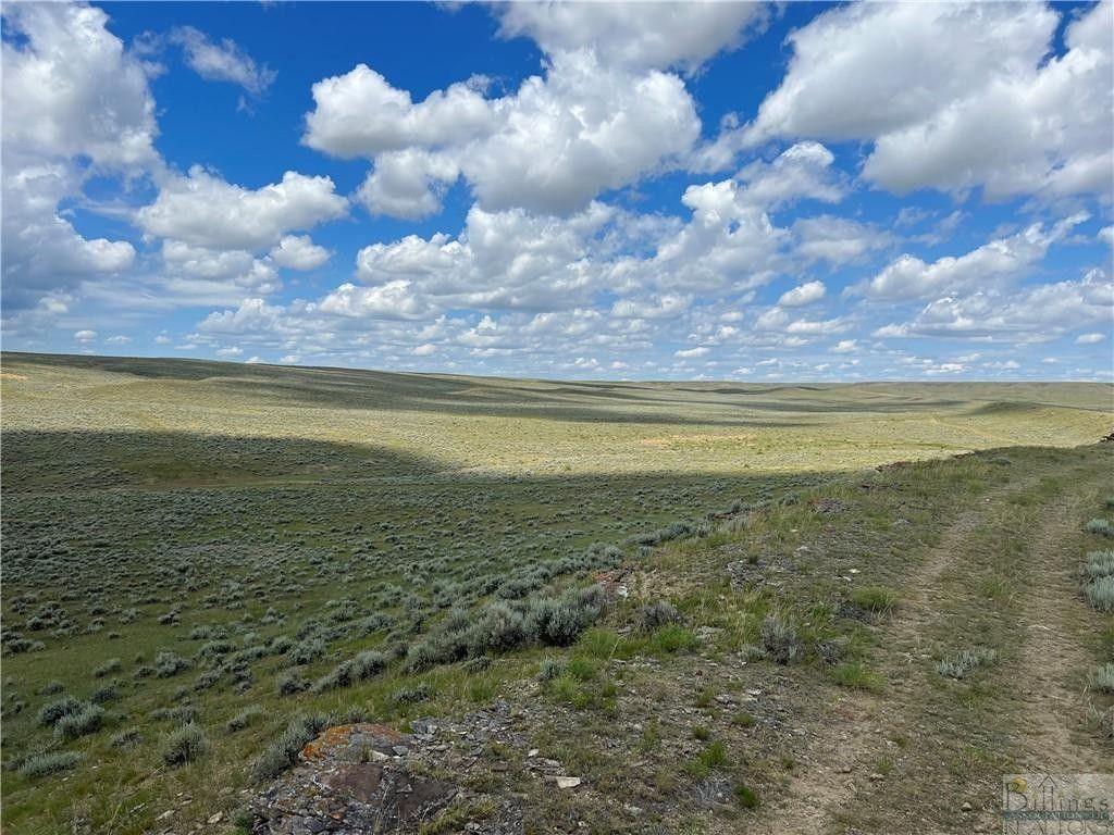 Roundup, Musselshell County, MT Undeveloped Land for sale Property ID