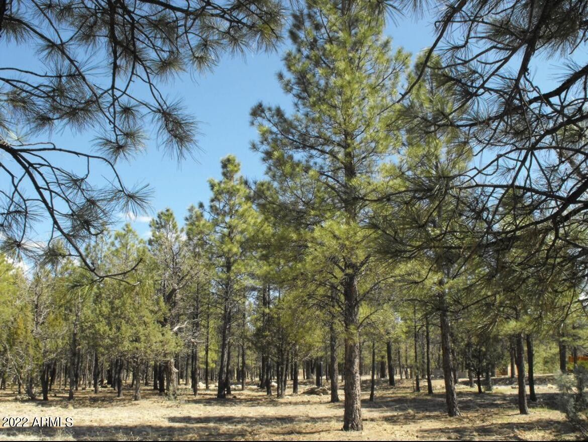 Happy Jack, Coconino County, AZ Undeveloped Land, Homesites for sale