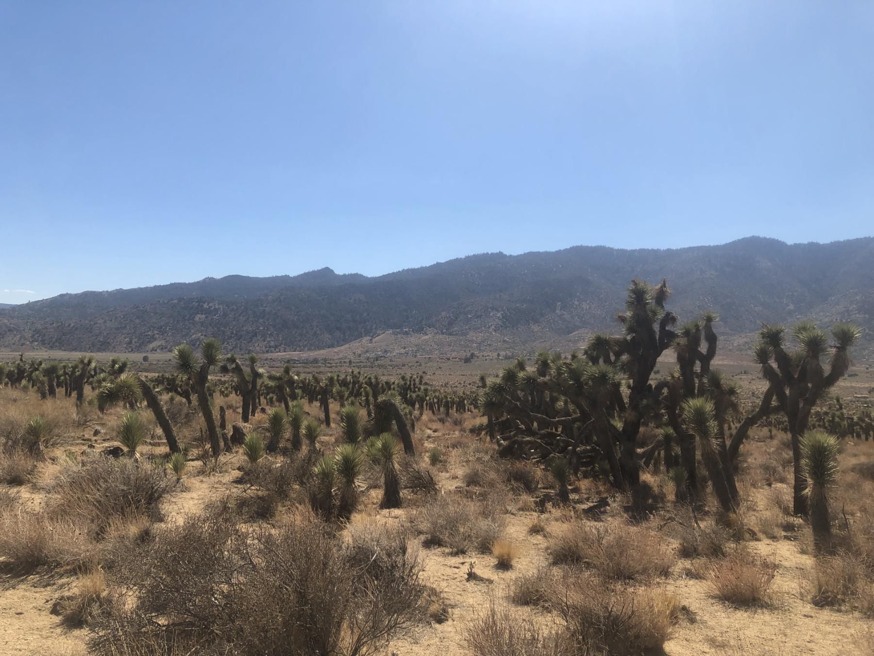Weldon, Kern County, CA Recreational Property, Hunting Property for sale Property ID 414655501