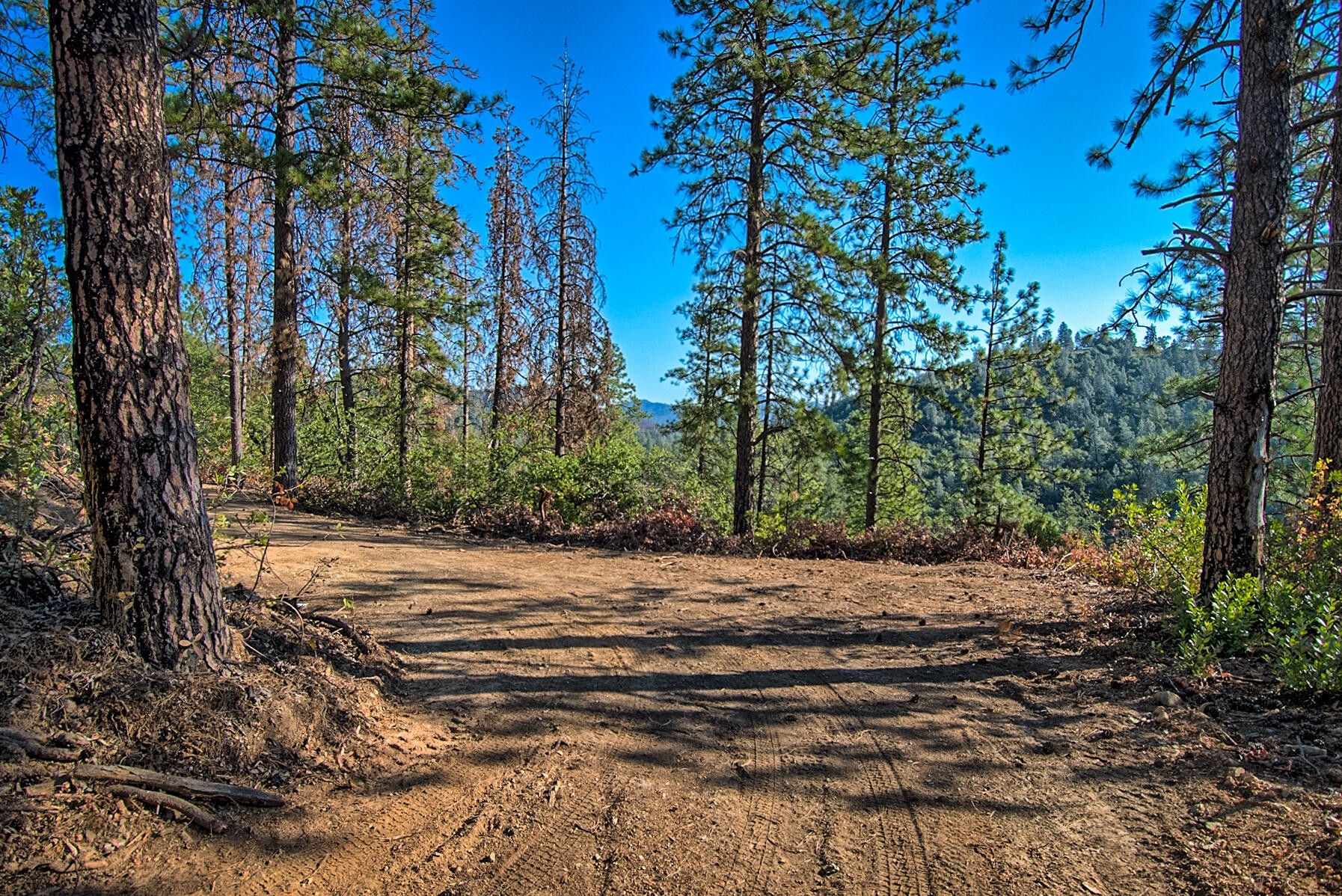 Shasta Lake, Shasta County, CA Undeveloped Land for sale Property ID