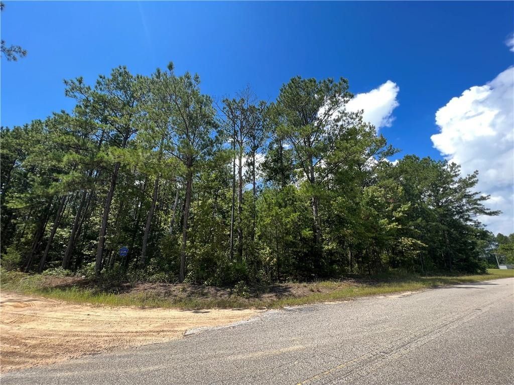 Lafayette, Chambers County, AL Undeveloped Land, Homesites for sale