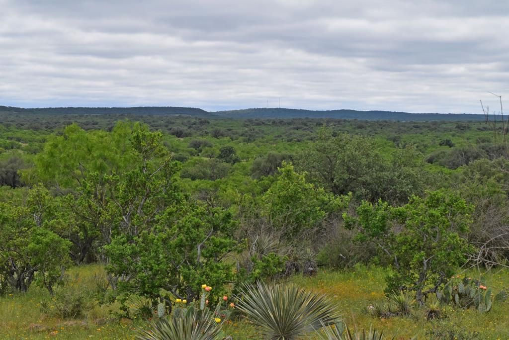 Mason, Mason County, TX Farms and Ranches, Hunting Property for sale