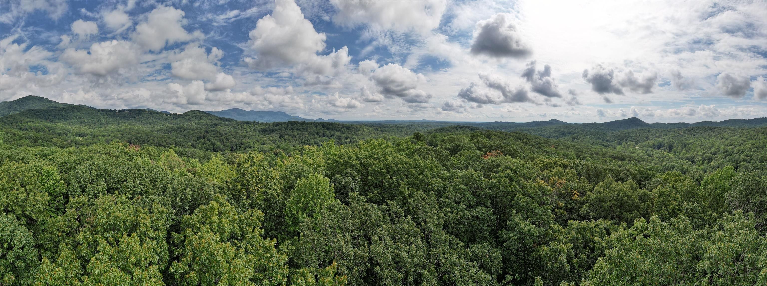Landrum, Spartanburg County, SC Undeveloped Land for sale Property ID