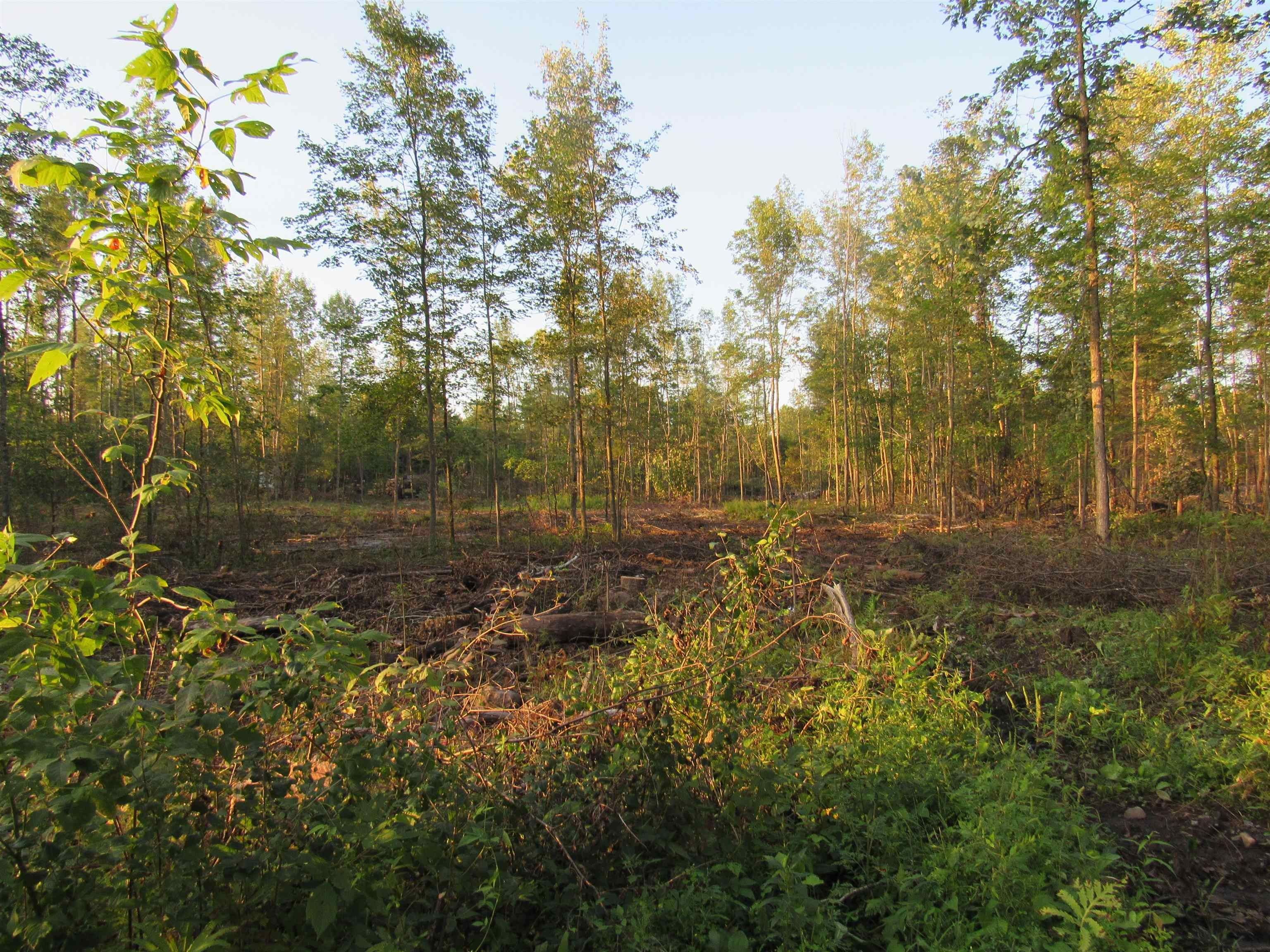 Brasher Falls, Saint Lawrence County, NY Undeveloped Land for sale