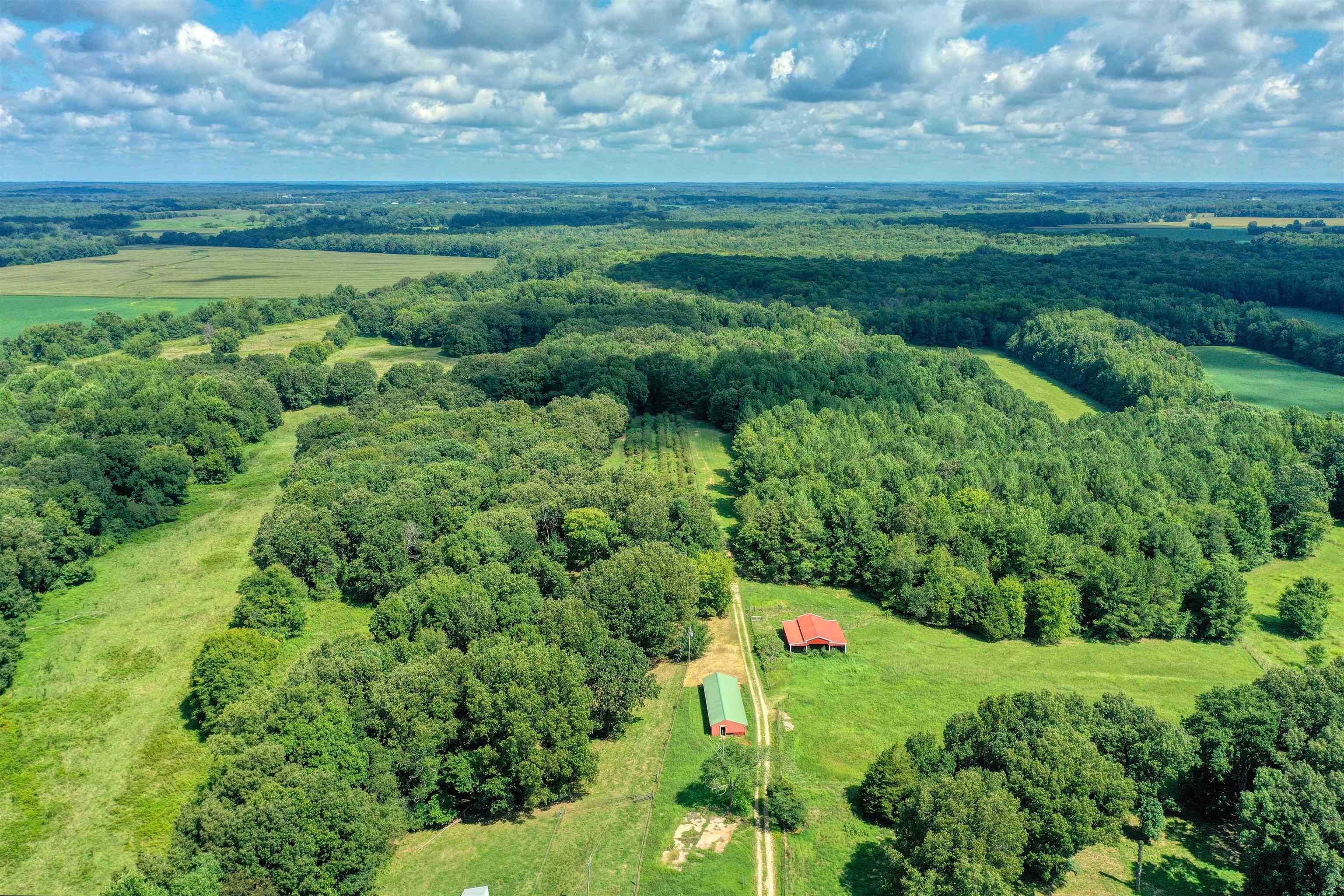 Henry, Henry County, TN Farms and Ranches for sale Property ID 414661631 LandWatch