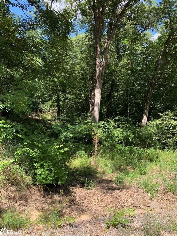 Brooklyn, Poweshiek County, IA Undeveloped Land, Homesites for sale