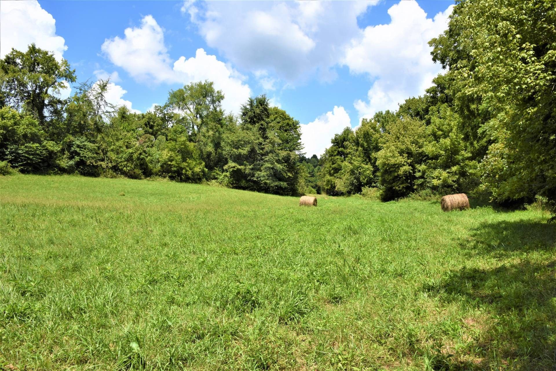 Edmonton, Metcalfe County, KY Undeveloped Land for sale Property ID