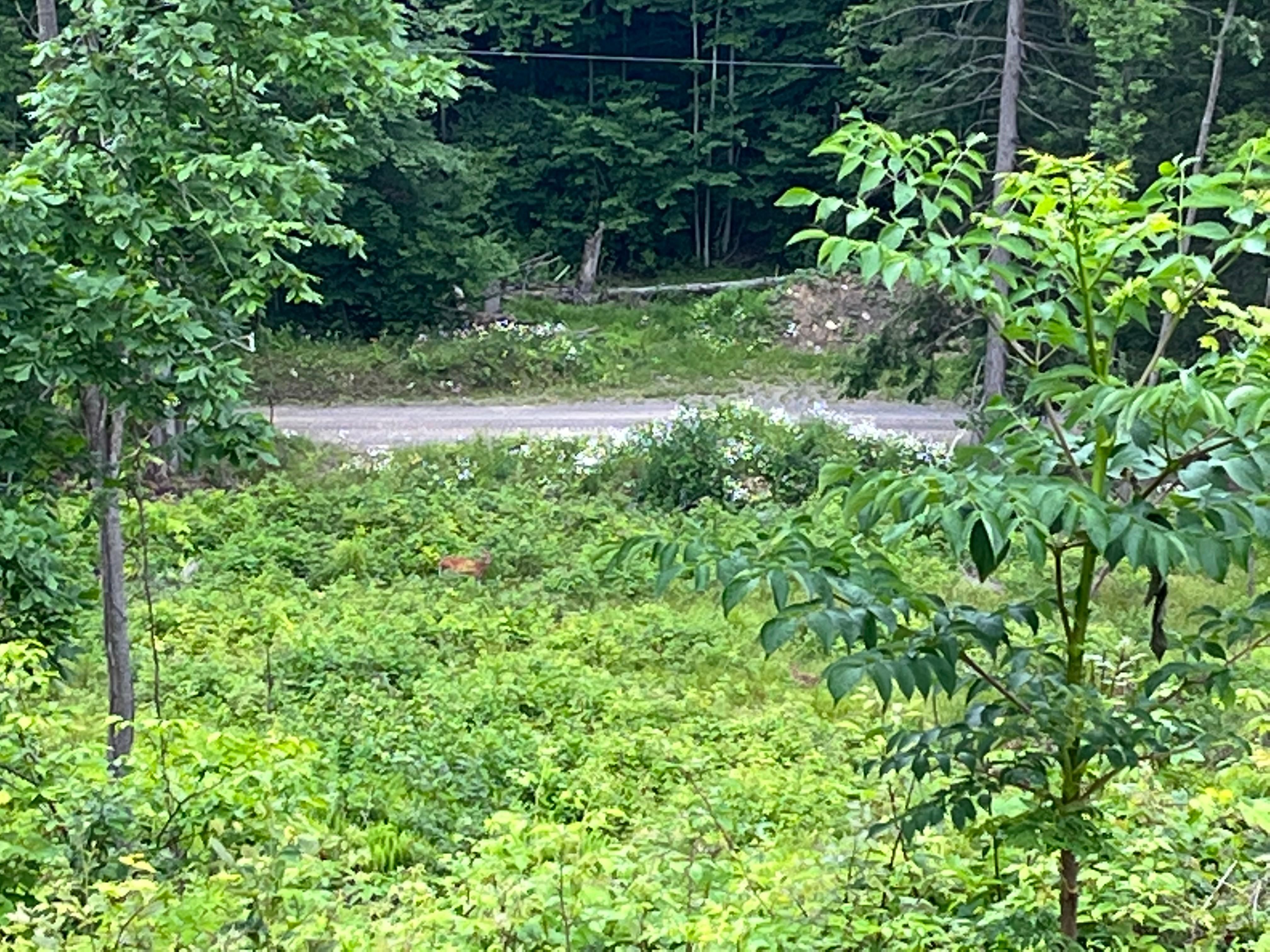 Weedville, Elk County, PA Recreational Property for sale Property ID