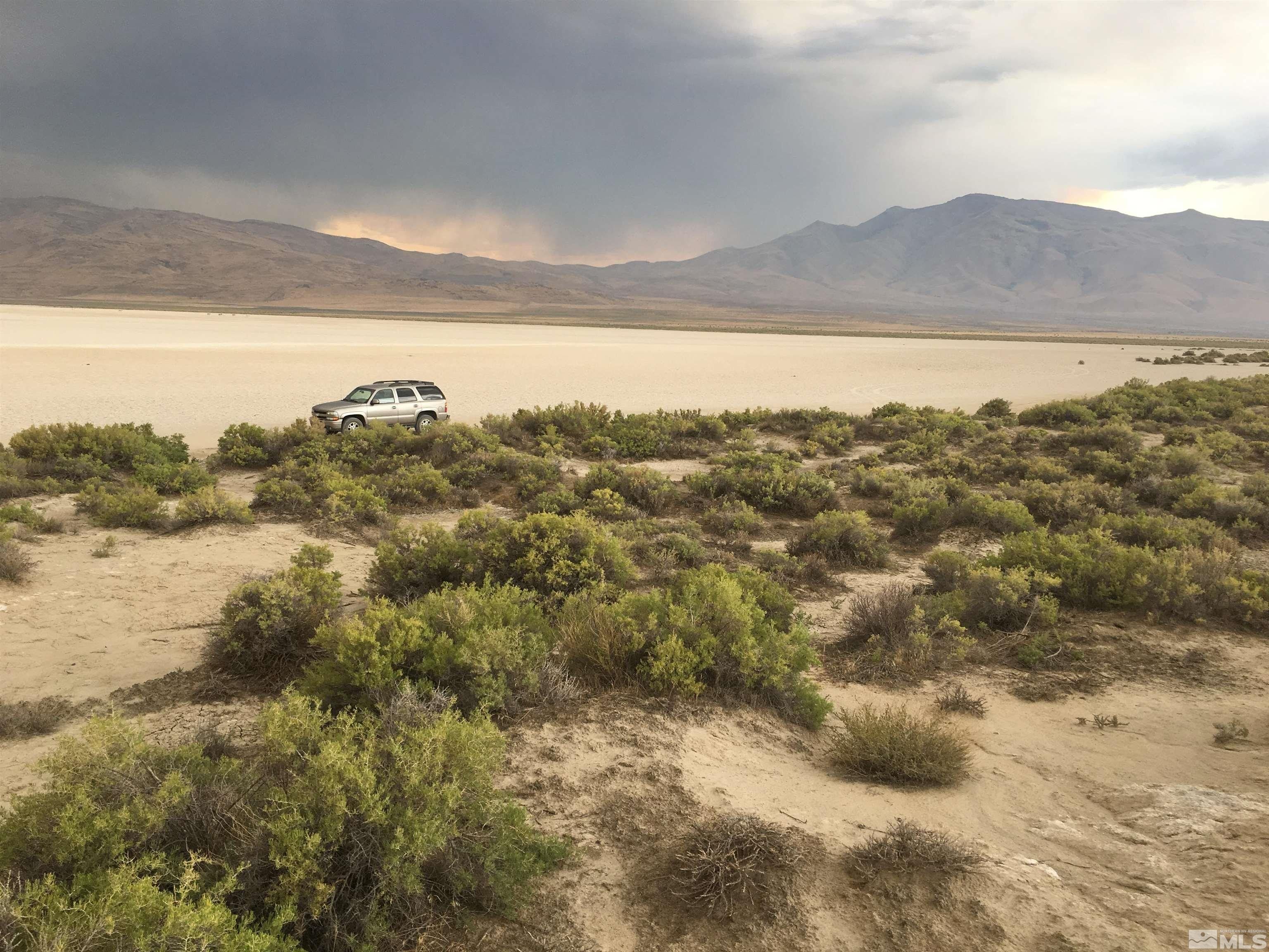 Gerlach, Washoe County, NV Undeveloped Land for sale Property ID