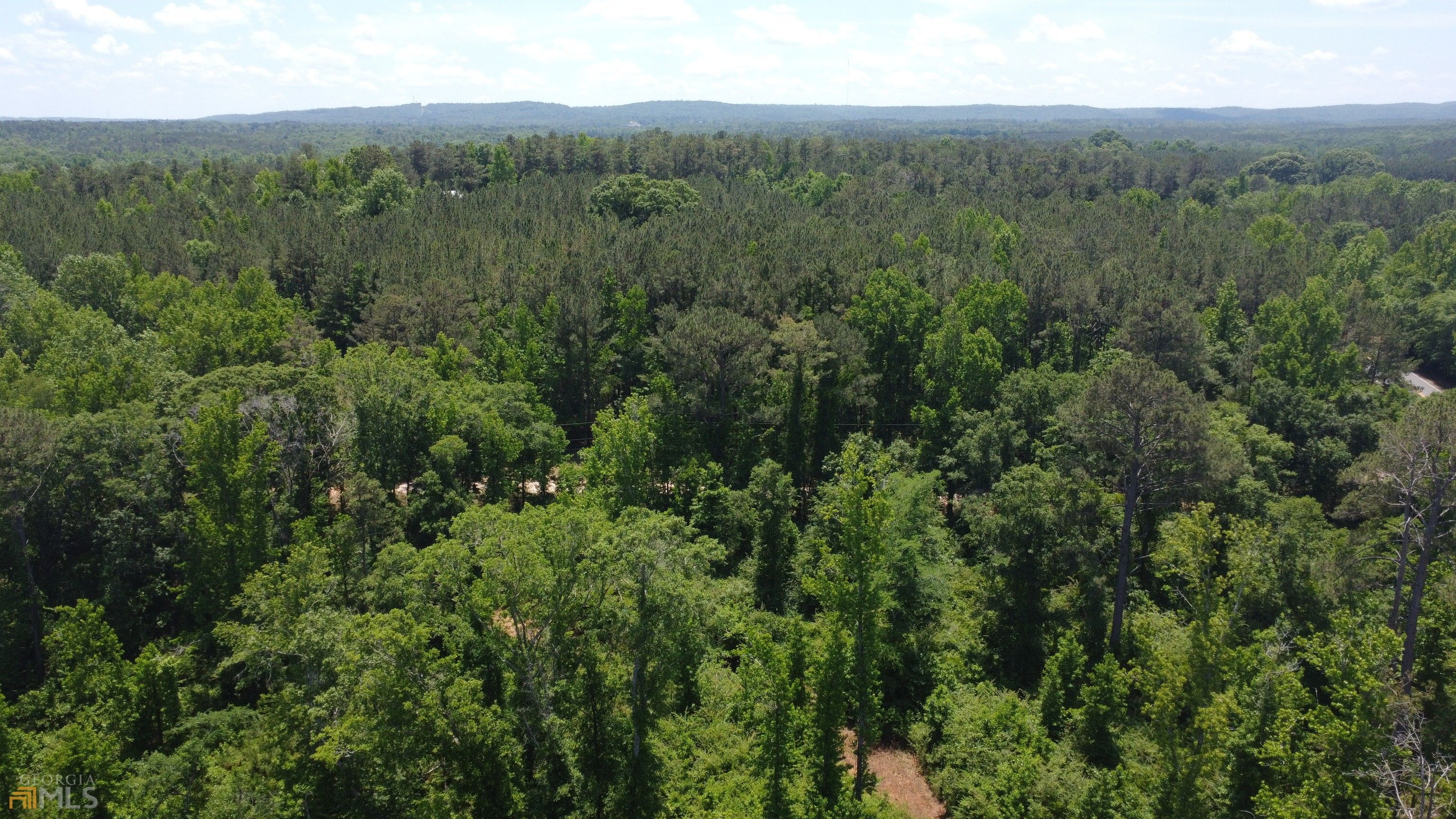 Warm Springs, Meriwether County, GA Farms and Ranches, Lakefront
