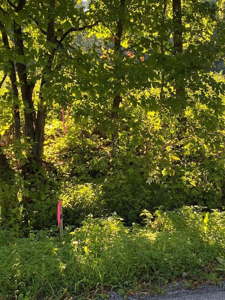 Fordsville, Ohio County, KY Farms and Ranches for sale Property ID