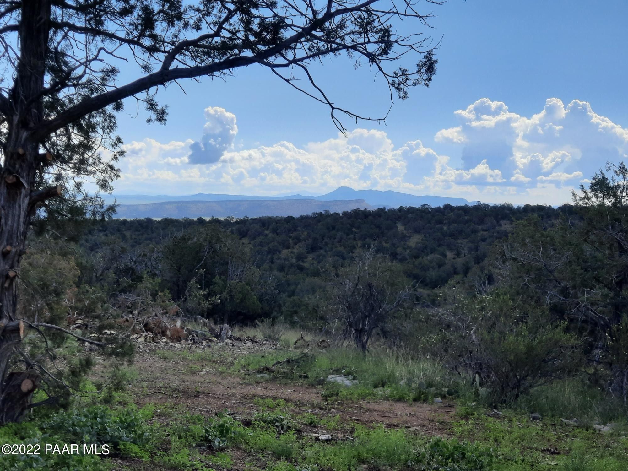 Seligman, Yavapai County, AZ Undeveloped Land for sale Property ID