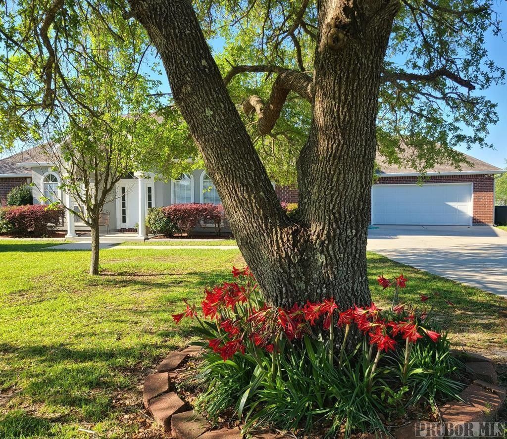 Carriere, Pearl River County, MS Lakefront Property, Waterfront