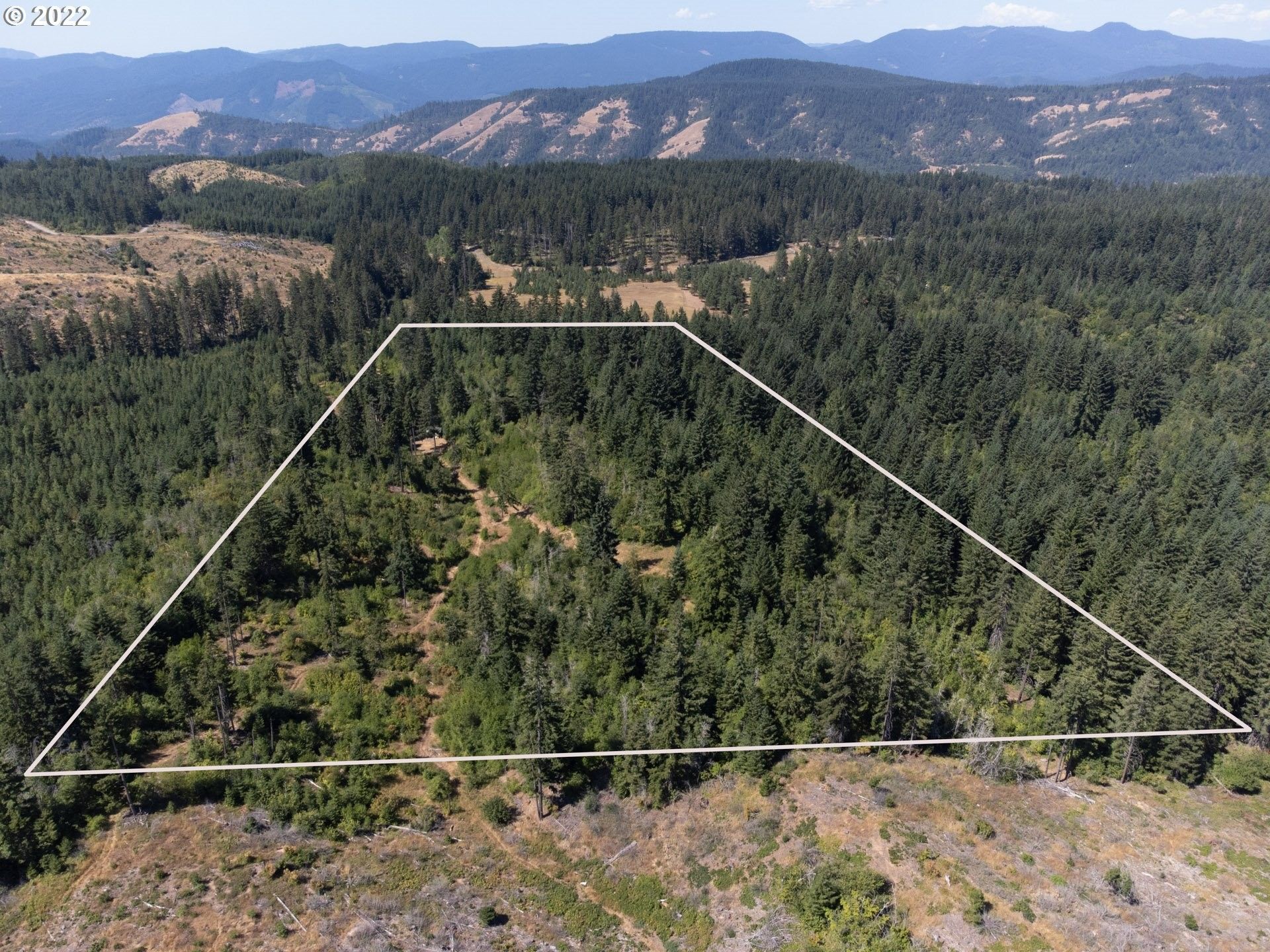 White Salmon, Klickitat County, WA Undeveloped Land for sale Property