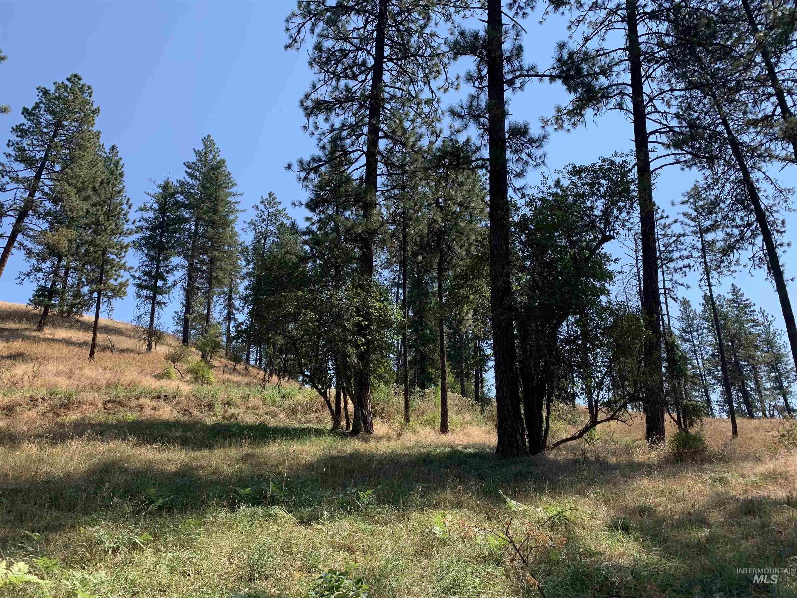 Kooskia, Idaho County, ID Undeveloped Land for sale Property ID