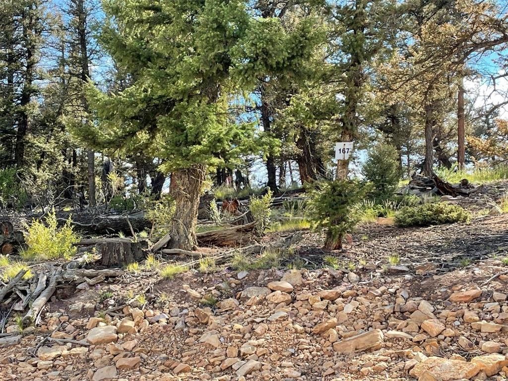 Fairplay, Park County, CO Undeveloped Land, Homesites for sale Property