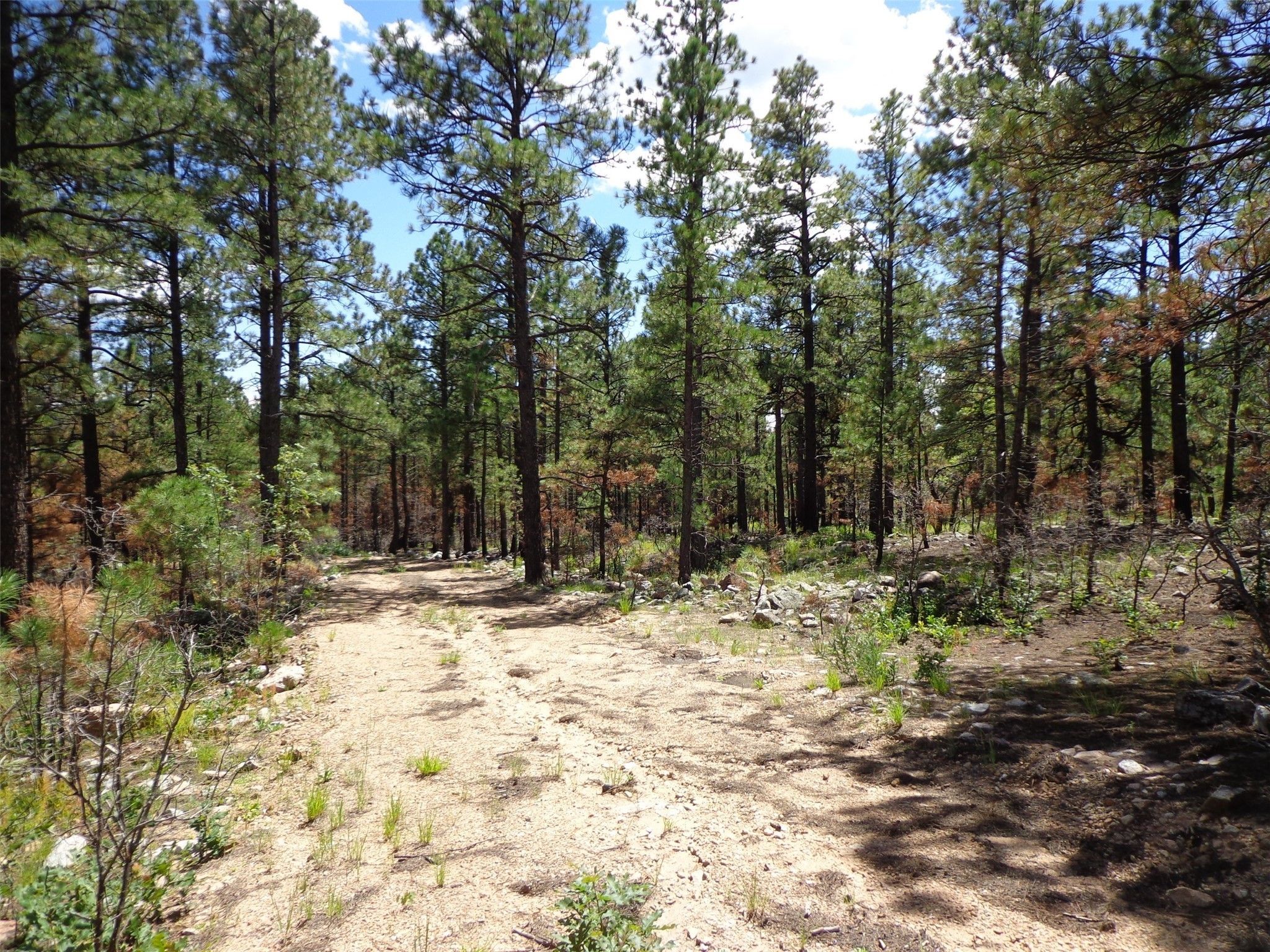 Guadalupita, Mora County, NM Farms and Ranches for sale Property ID