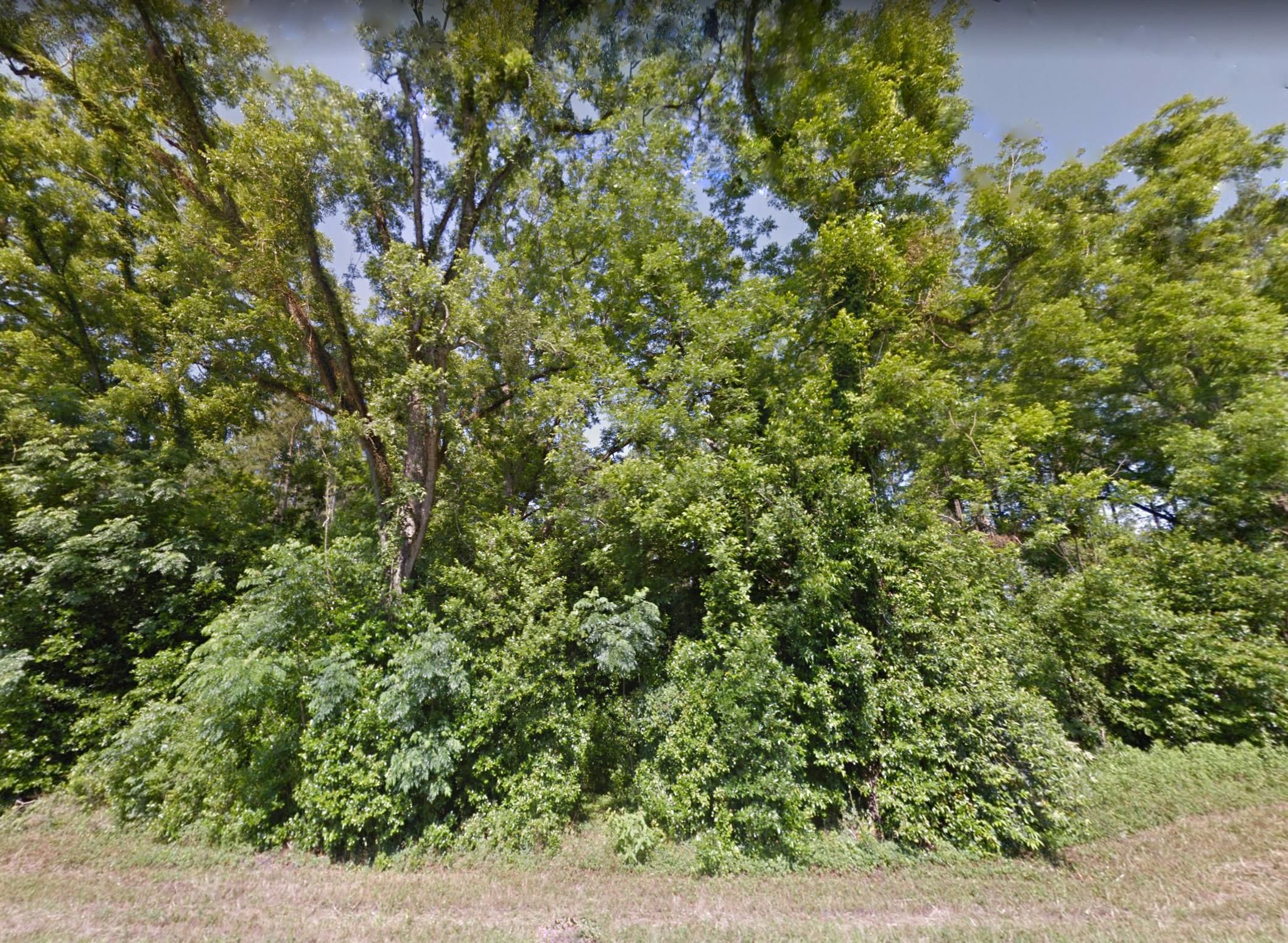 Lee, Madison County, FL Farms and Ranches, Recreational Property